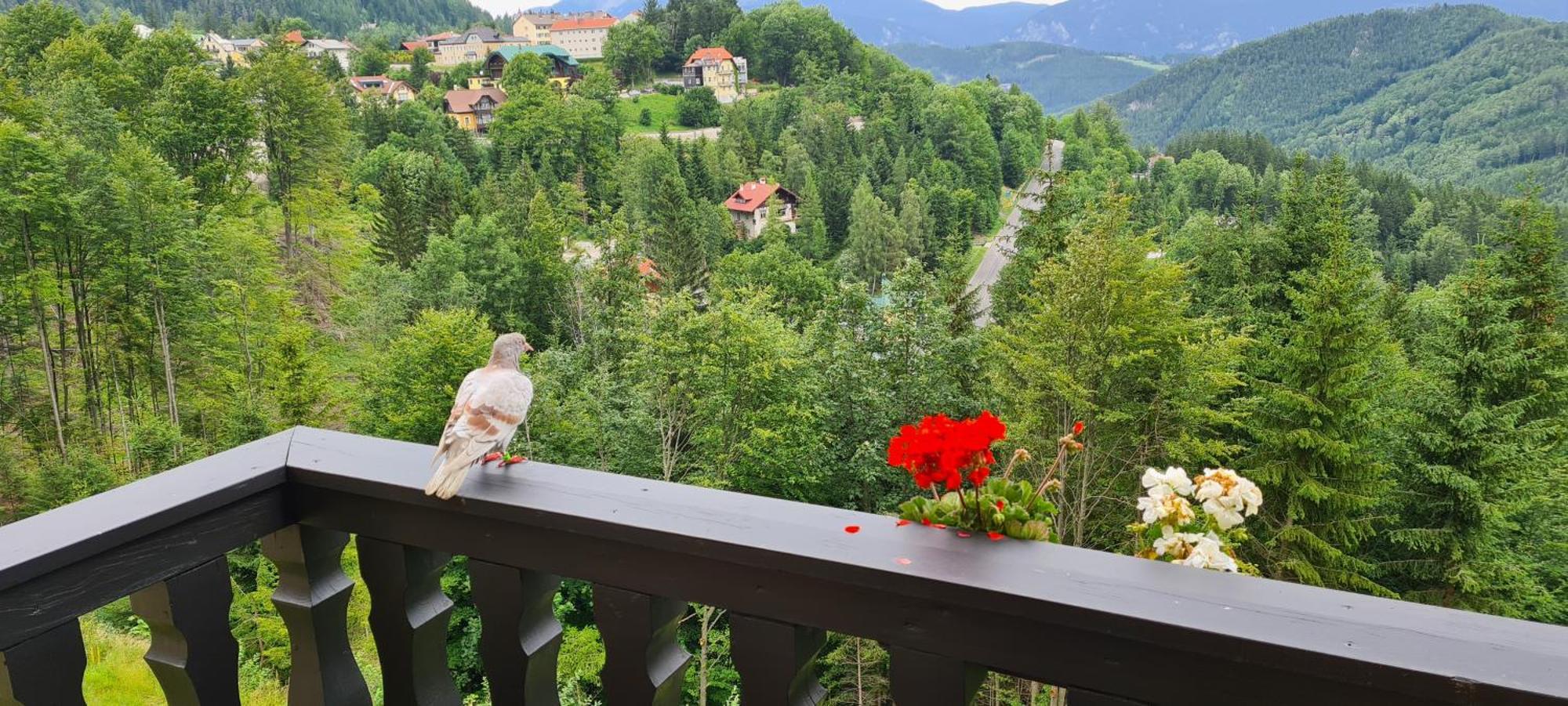 Kurhotel Renona Rehabilitation Semmering Εξωτερικό φωτογραφία