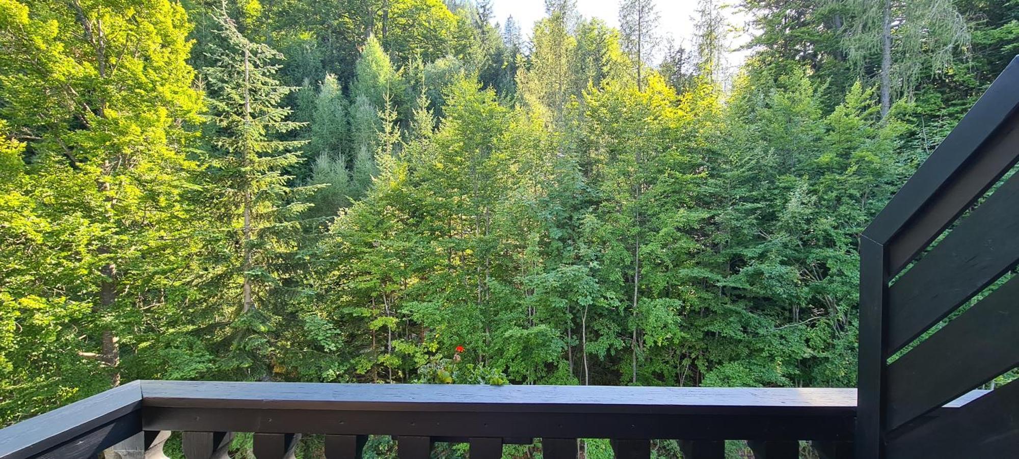 Kurhotel Renona Rehabilitation Semmering Εξωτερικό φωτογραφία